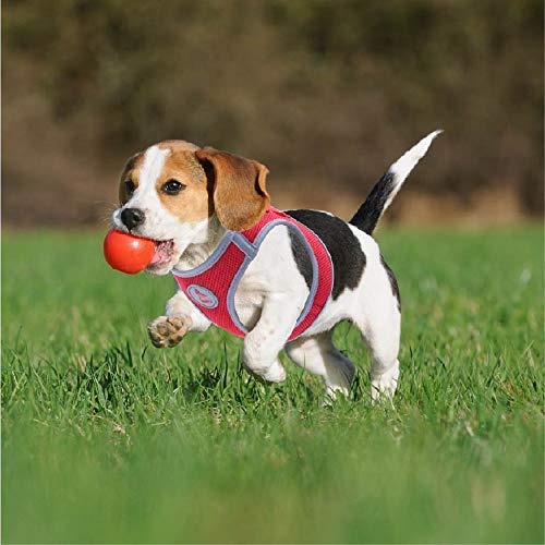 Kruz PET KZA306-14L Reflective Mesh Dog Harness, No Pull, Easy Walk, Quick Fit, Comfortable, Adjustable Pet Vest Harnesses for Walking, Training, Small, Medium Dogs - Red - Large - Thumbnail 6