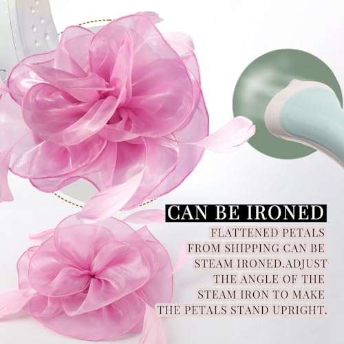 Image of DRESHOW Fascinators Hat Tea Party Headwear Ribbons Feathers on a Headband and a Clip for Women