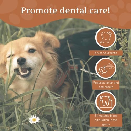 Wildfang® Kaffeeholz für Hunde – natürliches, unzerstörbares Kauspielzeug aus Kauholz für Aggressive Kauer & Welpen im Zahnwechsel, Zahnpflege Spielzeug Hund, Größe XXS (unter 5 kg)