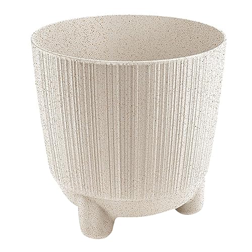 Plant Pot