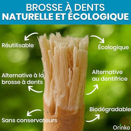 ORINKO 5 Bâtons de Siwak + 1 Étui en Bois – Miswak Brosse à Dents Naturelle Écologique et Vegan – Soin de la Bouche Traditionnel et Blanchiment des Dents – vue 3