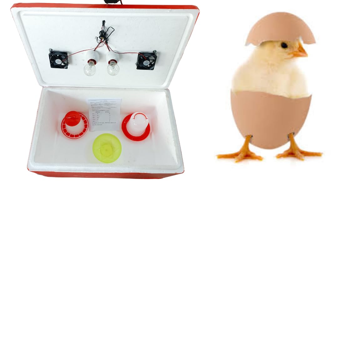HUMBE&CO EPS Th Body 100 Chicken Capacity and Other Quail Egg Egg Incubator 1 Feeder 1 Drinker-image-14