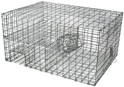 Multi Catch Sparrow Trap by Wildlife Control Supplies – Humane Mesh Cage with Spring-Loaded Release Door – Safe & Effective Pest Control for Commercial & Residential Use – Protect Your Feeders