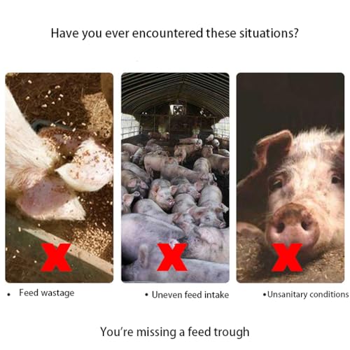 Mangeoire de clôture extérieure en acier pour l'alimentation des cochons - 4