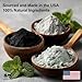 Amish Basics Natural Man Mud Activated Charcoal Face & Body Clay Mask | Deep Pore Cleansing and Detoxification | 16 oz Jar | Made in USA