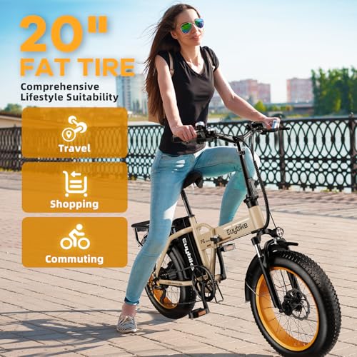 1000W Folding Electric Bike, 48V 20AH Large Removable