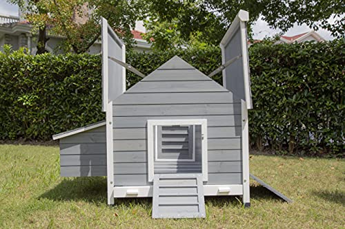 Pets Imperial® Hawksmoor Hühnerstall – Grau – 2 Nistplätze – Hühnerhaus aus Holz – Schiebetablett & Dach zum Öffnen – Bild 3