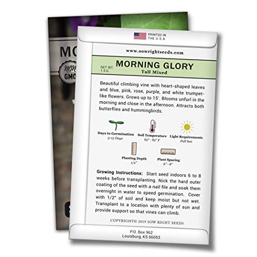 Sow Right Seeds Morning Glory Seeds - Full Instructions For Planting, Beautiful To Plant In Your Flower Garden; Non-Gmo Heirloom Seeds; Wonderful Gardening Gifts (1) #TOP1