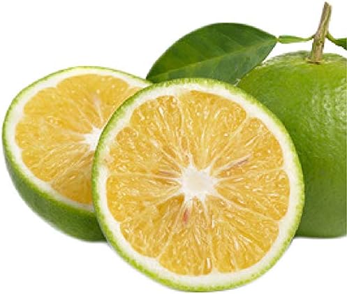 Amazon 小笠原の菊池レモン1kg 国産 無農薬無化学肥料 ノーワックス 防腐剤不使用 割主烹従 飛竜 レモン 通販