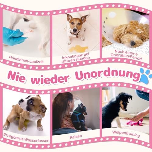 Dono Hundewindeln für Hündinnen, 10 Stück, Läufigkeitshose, Hunde Windeln Weiblich, Pull-up-Hundewindeln, Windeln für Hunde, Katzenwindeln, super saugfähig, incontinenz, S (22-43 cm)
