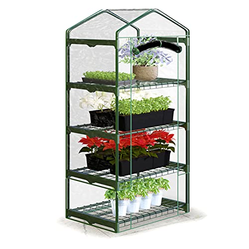 Plonos Mini-Gewächshaus, Lieber grüner Sand, Large Cover