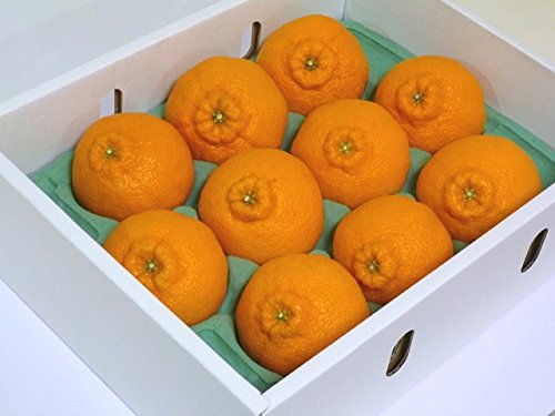 p sm fR| Ɠi 9-10 2 QY fR݂