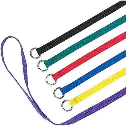 Guardian Gear Slip Style Kennel Dog Lead Bulk Packs Wholesale Dogs Leads Vet Groomer Shelter(4 Foot x 1/2 inch 36 Lead Bulk Pack)