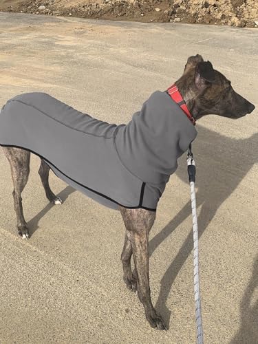 Imily Bela Hundepullover Fleece Rollkragen Hundemantel Warmer Weste Pullover Outdoor Hundejacke Winterkleidung für Kleine Mittel Große Hunde,Grau,M