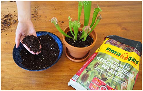 Floragard Spezialerde für fleischfressende Pflanzen 2x3L - Carnivorenerde