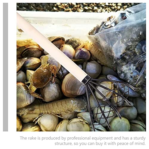 HANABASS Ancinho De Garra Rede De Malha: 2 Peças Ancinho De Mão Japonês Garras De Fixação De Ferro D