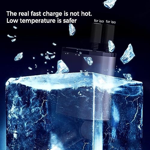 Caricabatterie Rapido per Auto | Caricabatteria da...