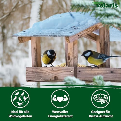 Eggersmann volaris Gehackte Erdnüsse Vogelfutter 2,5kg – Vogelfutter Erdnüsse für Wildvögel Energie- & proteinreich – Gehackte Erdnusskerne frisch & naturbelassen – Hochwertiges Wildvogelfutter