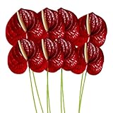 Contenu de la livraison : vous recevrez 8 fleurs de lys artificielles en anthurium, quantité suffisante pour répondre à vos différents besoins. La fleur peut être utilisée seule ou associée à d'autres décorations de plantes pour créer un beau centre de table ou un arrangement floral.