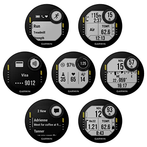 Garmin Descent G1 Rugged Dive Computer, Multiple Dive Modes With Wearable4U Bundle (+Black Earbuds, Slate Gray) #TOP3