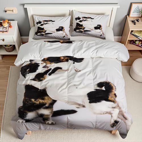 Housse de couette chien et lutte pour chambre d'enfant dynamique avec 2 taies - 4