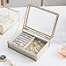 Clear Glass Jewelry Box with Removable Velvet Tray - Jewelry Case with Lid Vanity Vintage Metal Brass Jewellery Display Dust-Proof Organizer for Earring Ring Necklace for Bedroom, Dresser