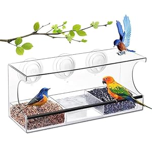 Dorakitten Window Bird Feeder, Acrylic Bird Feeder with 3 Suction Cups, Clear Bird Feeder for Outside, Window Bird House with 3 Compartments and Drainage Holes, for Bird Lovers