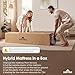 SNFPNE 12 Inch Queen Mattress - Medium Firm Hybrid Memory Foam Mattress with Individual Pocket Springs for Pressure Relief & Motion lsolation, CertiPUR-US Certified, Queen Size Mattresses 80