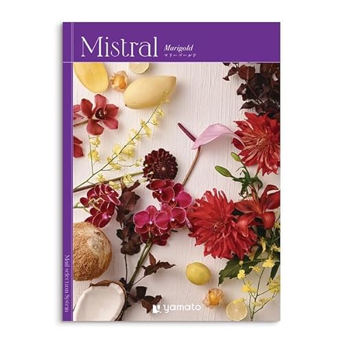Mistral(~Xg) MtgJ^O Marigold(}[S[h)R[X (ς/mLAuE)|j j oYj Ε