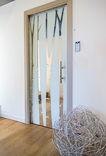 Modern & Contemporary Double-Sided Ladder Style Push-Pull Stainless Door Handle (16 Inches/406Mm) For Steel, Aluminum And Glass Doors, Brushed Stainless Steel Finish (16 Inch, Satin Stainless Steel) #TOP4