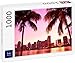 Lais Puzzle Miami Skyline, Florida 1000 Piezas