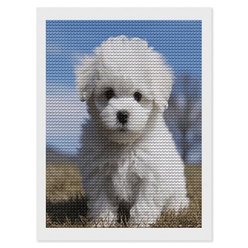 Kits de pintura de diamantes 5D para adultos y principiantes de Bichón Frisé 1