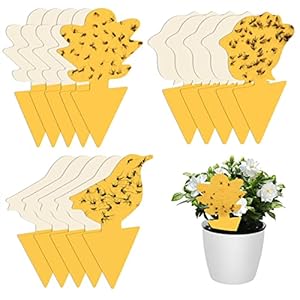 15 Stück Fliegenfalle Gelbsticker, Trauermücken Bekämpfen, Fliegenfalle Klebefalle Steckbare Fliegenfänger, Gelbsticker Gelbtafeln für Innen und Außenbereich