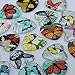 25mm Heart-shaped Photo Glass Cabochon Thickness 6mm,20pieces/lot (10005552)