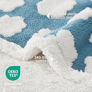 Lesure-Waterproof-Dog-Blanket-for-Large-Dogs-Washable-Double-Sided-Dog-Blankets-with-Warm-Jacquard-Shag-and-Soft-Sherpa-Fleece-Pet-Cat-blanket-for-Bed-Protection-3D-Textured-Cloud-Blue - Cucciolini Doodles   Lesure-Waterproof-Dog-Blanket-for-Large-Dogs-Washable-Double-Sided-Dog-Blankets-with-Warm-Jacquard-Shag-and-Soft-Sherpa-Fleece-Pet-Cat-blanket-for-Bed-Protection-3D-Textured-Cloud-Blue