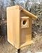 Handmade Cedar Wood Side Entrance Wren or Chickadee Birdhouse, Pole, Fence, or Tree Mount, Natural, with Predator Guard, Easy Clean-Out, 4x4 Inch Nesting Area, 1 1/8 Inch Entrance Hole