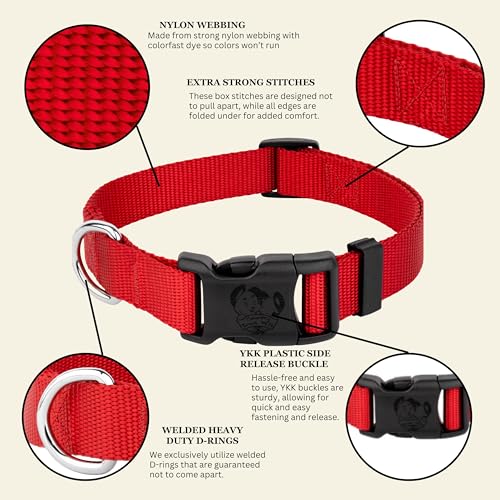 Country Brook Petz 25+ Hundehalsband aus Nylon, mit Schnellverschluss-Schnalle, starke Beschläge, hergestellt in den USA (klein, 1,9 cm breit, hellrot)-6