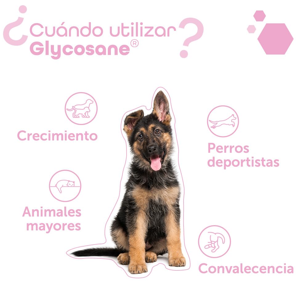 MP Labo Glycosane® 100 cápsulas - Mantenimiento de la función Articular - Perro y Gato
