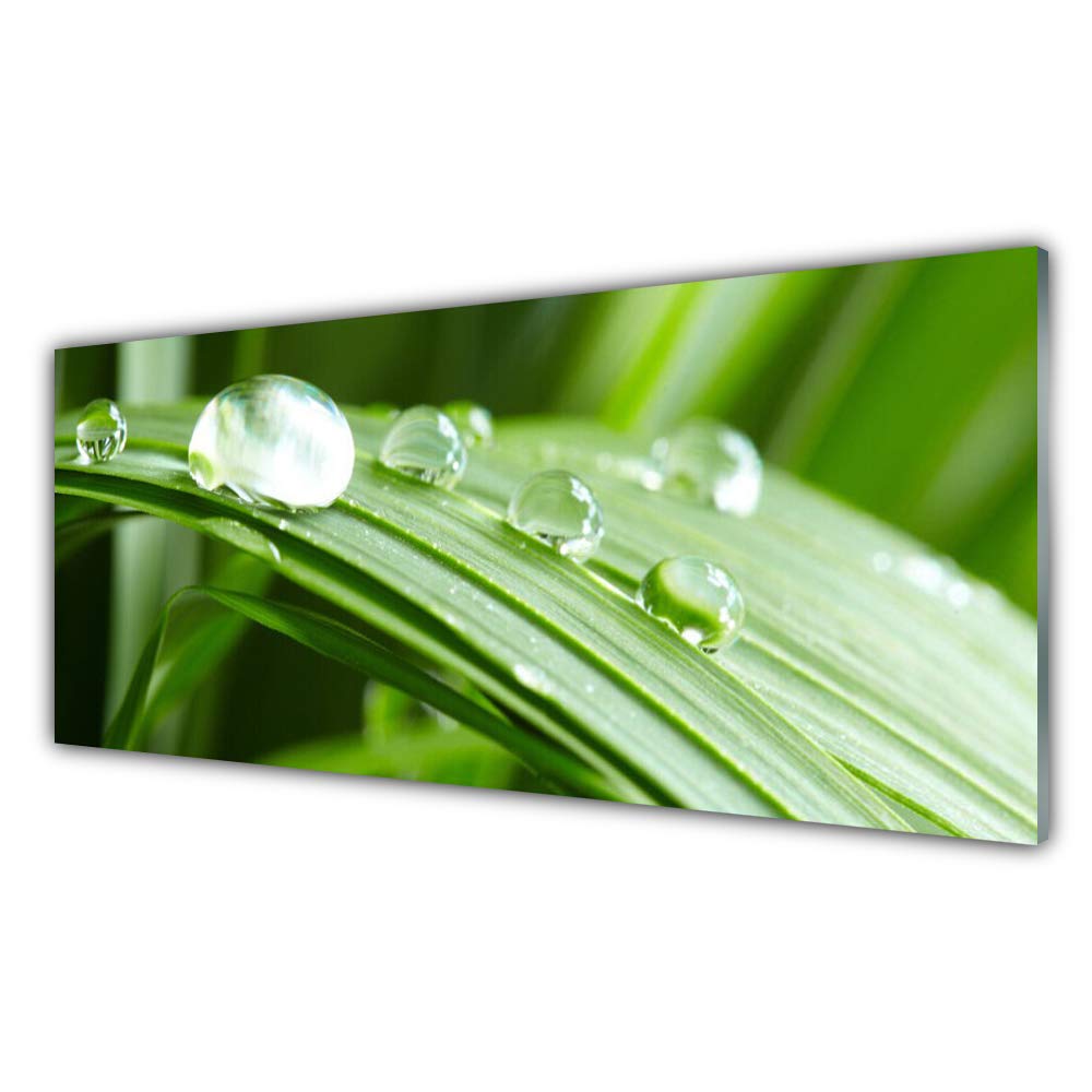 Impression sur verre 125x50cm nature florale pour créer un salon zen et design moderne