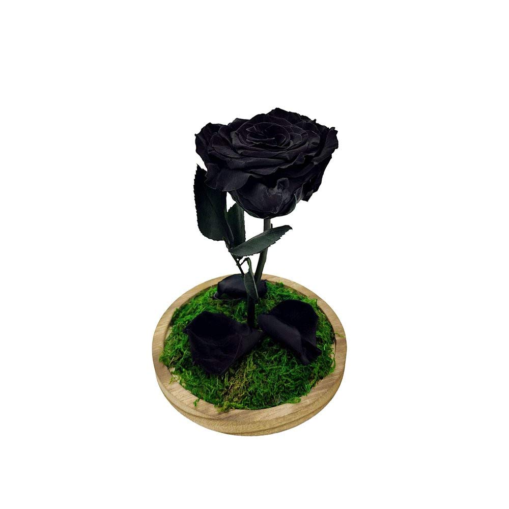 Mundo Eterno| Rosa Preservada Negra en Cúpula de Cristal | Rosa Eterna Natural | Regalo Original | 22x12 cm