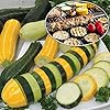 This is a Mix 50 Zucchini and Squash Mix Seeds 12 Varieties Non-GMO Delicious Grown in USA. Rare Super Profilic #1