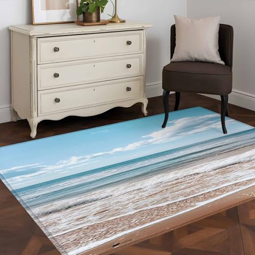 4x6 Area Rugs for Living Room, Ocean Washable Rugs for