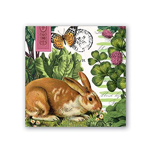 Michel Design Works 20-Count 3-Ply Paper Cocktail Napkins, Garden Bunny