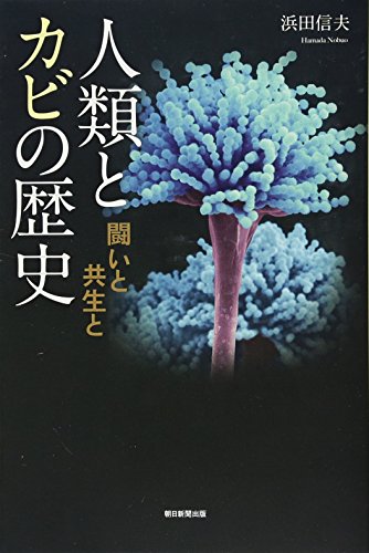 手段は問わない 金稼ぎrpg を実況プレイ Part6 ニコニコ動画