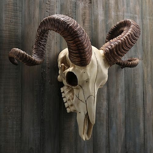 Escultura de pared de cuerno de carnero Corsican 27 cm miniatura 5
