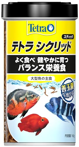 eg (Tetra) VNbh XeBbN 160g VNbh̎H 悭HׂoXh{H HCp GT
