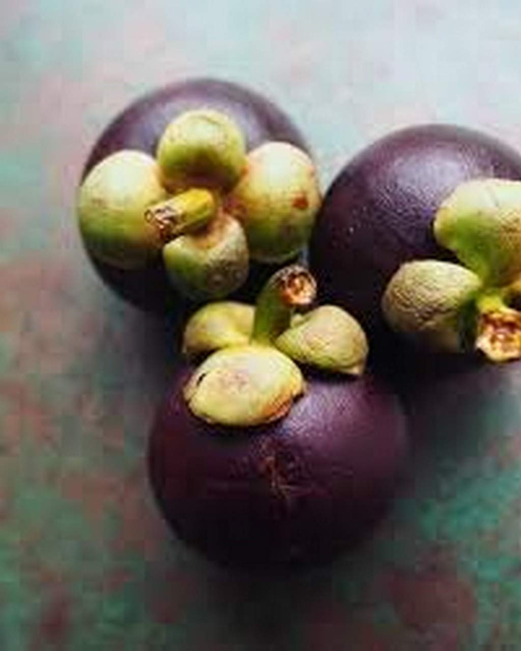 See full amazon price history chart for Creative Farmer Live Fruit Plant Mangosteen Nutrient-Rich Queen Of Tropical Sweet Purple Plants Outdoor Garden Plant(1 Healthy Live Plant) Creative Farmer Live Fruit Plant Mangosteen Nutrient-Rich Queen Of Tropical Sweet Purple Plants Outdoor Garden Plant(1 Healthy Live Plant) (B08Q8KRSCY) Amazon Price History, Amazon Price Tracker