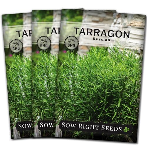 Sow Right Seeds - Russian Tarragon Seed for Planting Perennial Herbs 3pk