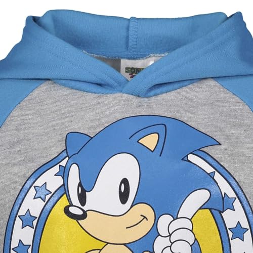 Image of SEGA Sonic the Hedgehog Boys' Fleece Hoodie Toddler to Big Kid