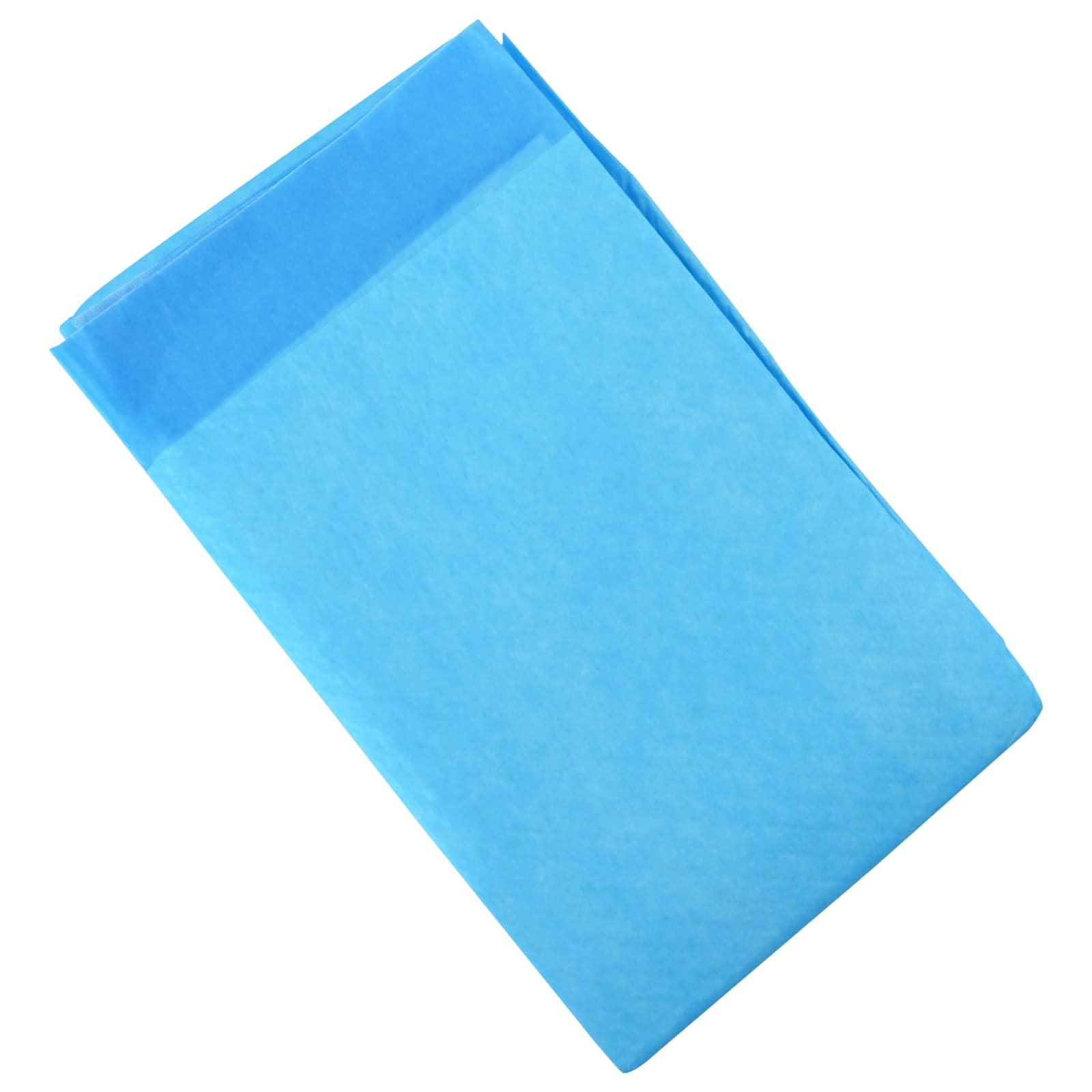 Lot de 100 Alaise pour Chien, Tapis Éducateur Hygiénique Jetable Absorbant Alèse Pipi Propreté Educateur pour Chien en Tissu Non tissé 100 pcs 120x80 cm